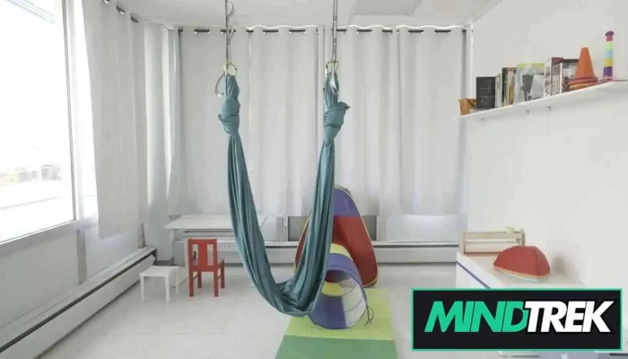 Mindful Ot -  By Owner - Newmarket