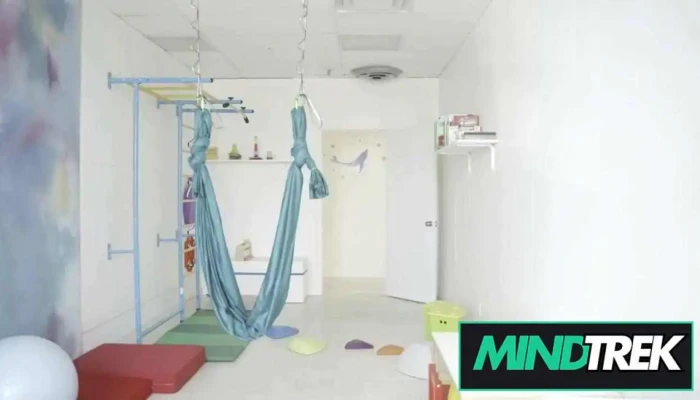 Mindful Ot -  Videos - Newmarket