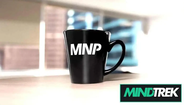 Mnp Llp -    Accounting Business Consulting And Tax Services All - Dryden