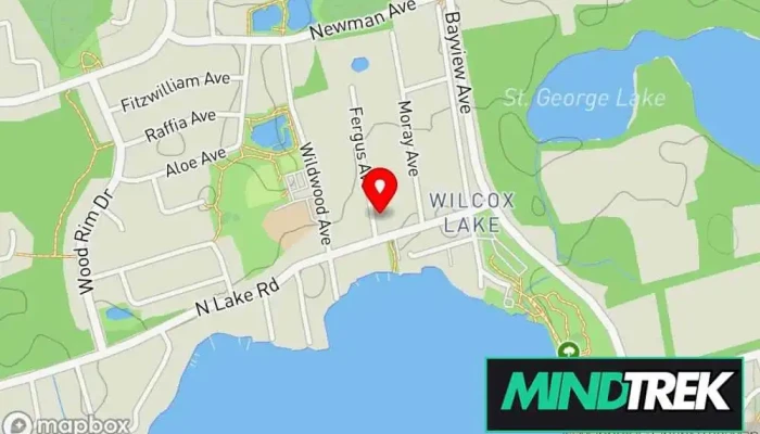 map of Negotium: Meaning Centered Living, Centre for Logotherapy and the Science of Success Psychotherapist in Richmond Hill
