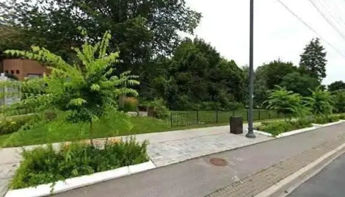 Northern Elm Assessment And Treatment -  Street View 360deg - Newmarket