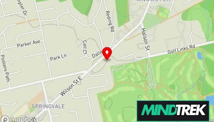 map of NowWhat? Support Services Mental health service, Applied behavior analysis therapist, Children's camp, Child psychologist, Family counselor, Family service center, Literacy program, Marriage or relationship counselor, Occupational therapist, Private tutor, Psychopedagogy clinic, P in Ancaster