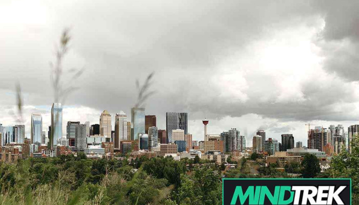 Prairieview Psychology - Calgary