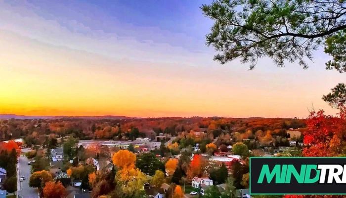 Psychological Recovery Clinic -  All - North York