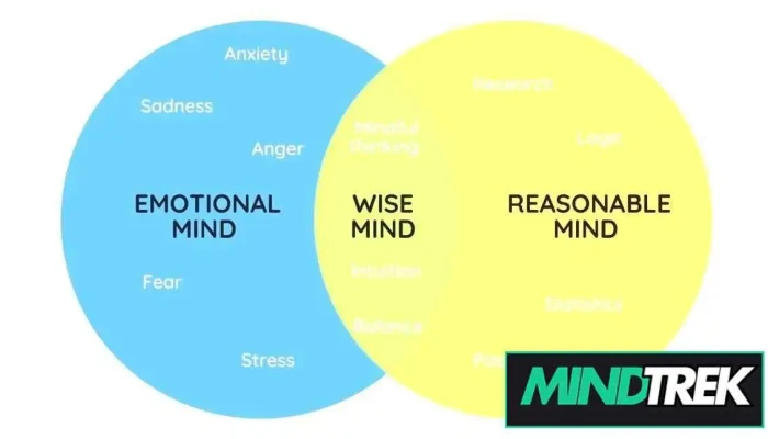 Reid and Barr Dbt / Therapy Services - Canada