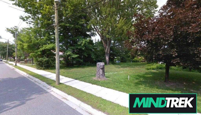 Rooted in Counselling - Bracebridge
