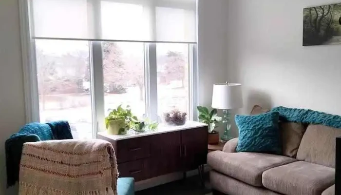 Sl Psychotherapy and Wellness - Ottawa