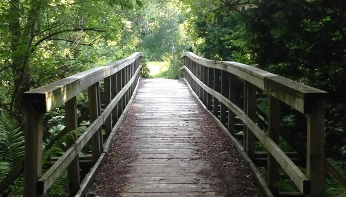 Soul Path Counselling Psychotherapy Holistic Services By Owner - Orillia