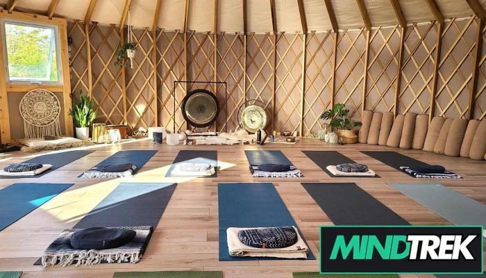 Spiritual Alchemy Wellness - Picton