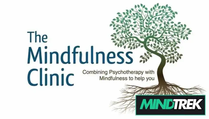 The Mindfulness Clinic -  By Owner - Toronto