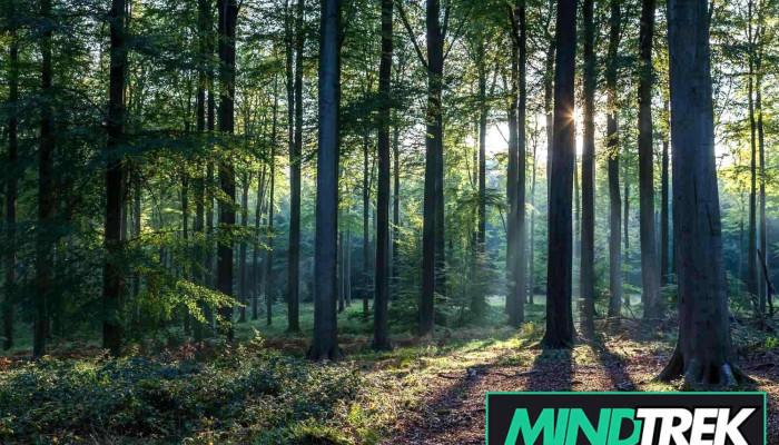 Trailhead Psychotherapy Clinic -  By Owner - Barrie