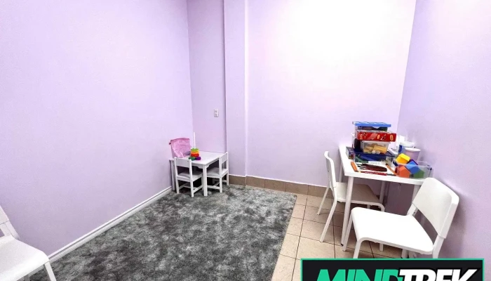 Two Can Talk -    Speech Therapy Occupational Therapy Autism Services By Owner - Vaughan