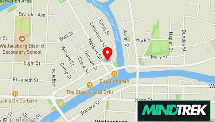 Wallaceburg Wellness Centre -  Map - Wallaceburg
