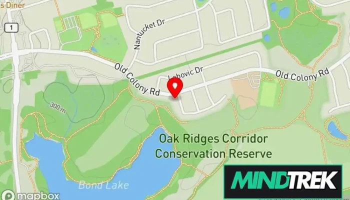 map of Whitehouse Psychotherapy Psychotherapist, Social worker in Richmond Hill